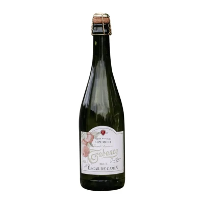 Sidras putojantis GRAND PREMIUM BRUT LAGAR DE CAMIN, 6%