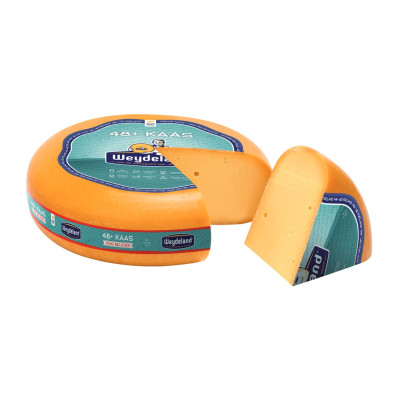 Sūris GOUDA JEUNE, brandintas 26–56 d.