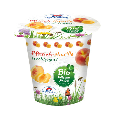 Jogurtas su persikais ir abrikosais PFIRSICH-MARILLE BIO, ekologiškas