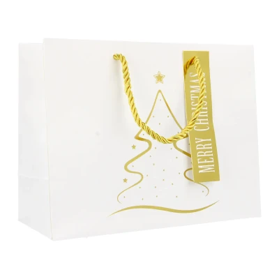 Maišelis dovanoms 18x23x10 cm