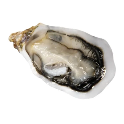 Austrė FINES DE CLAIRE LA GEAY, Nr. 3