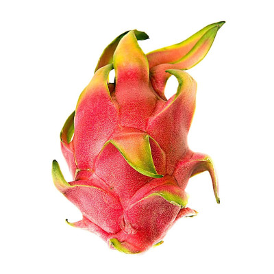 Kertuotis, raudonasis