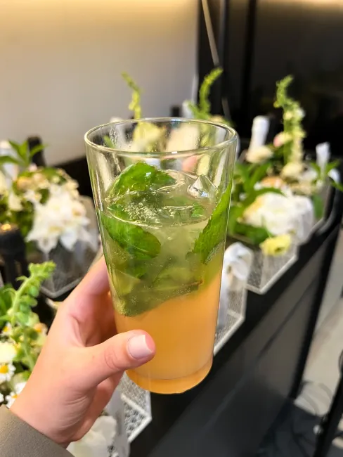 Nealkoholinis kokteilis MOJI-TEEZ PASSION