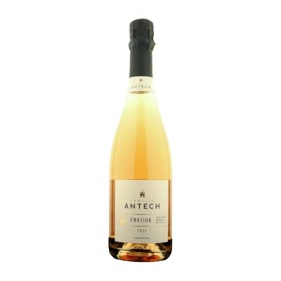 Putojantis rožinis sausas vynas ANTECH CUVEE CREMANT DE LIMOUX AOC, 12 %